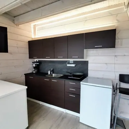 Feriehus Lakeside Jyvaeskylae Kuusa